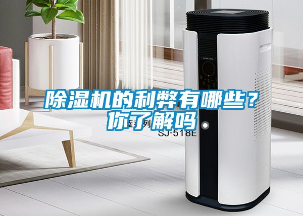 除濕機(jī)的利弊有哪些？你了解嗎