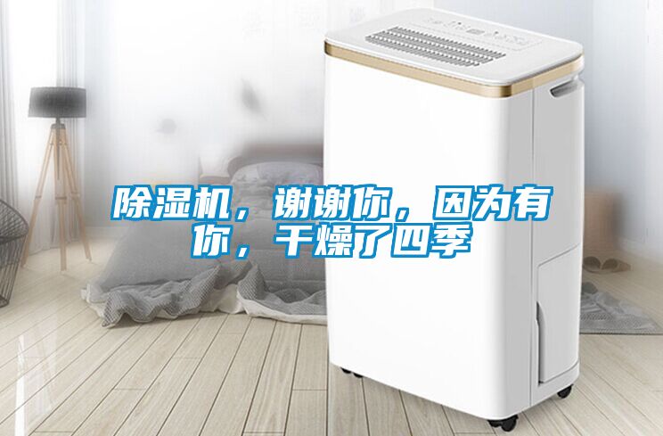 除濕機(jī)，謝謝你，因?yàn)橛心悖稍锪怂募?></div>
								<div   id=