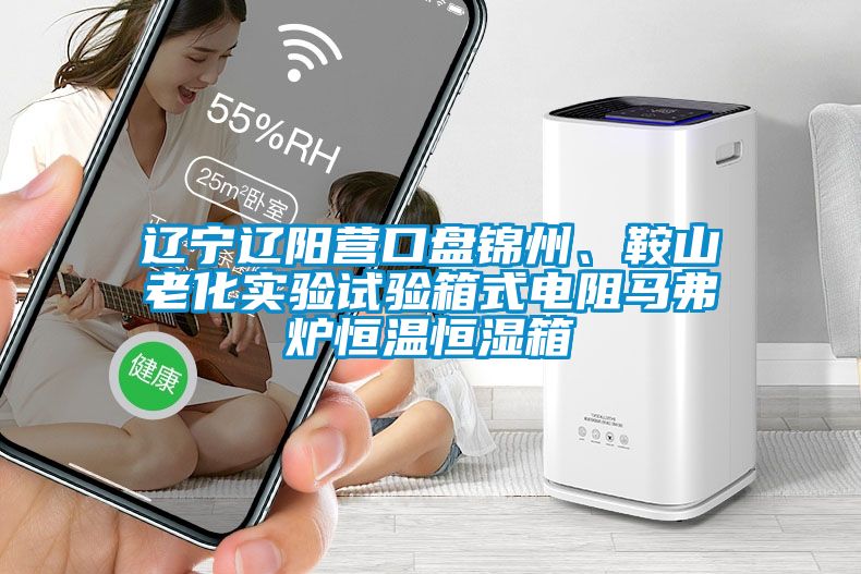 遼寧遼陽營(yíng)口盤錦州、鞍山老化實(shí)驗(yàn)試驗(yàn)箱式電阻馬弗爐恒溫恒濕箱