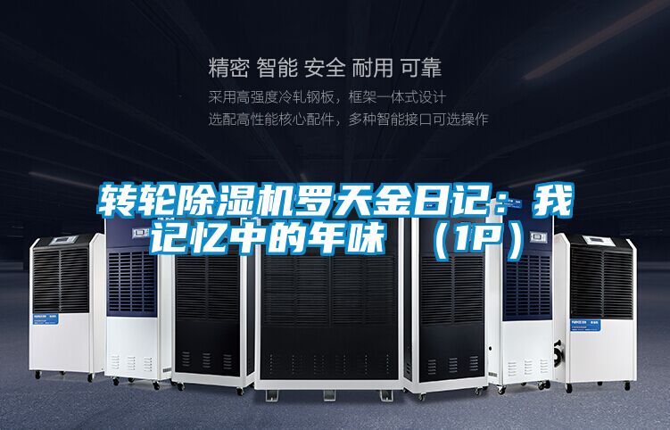 轉(zhuǎn)輪除濕機(jī)羅天金日記:我記憶中的年味 (1P)