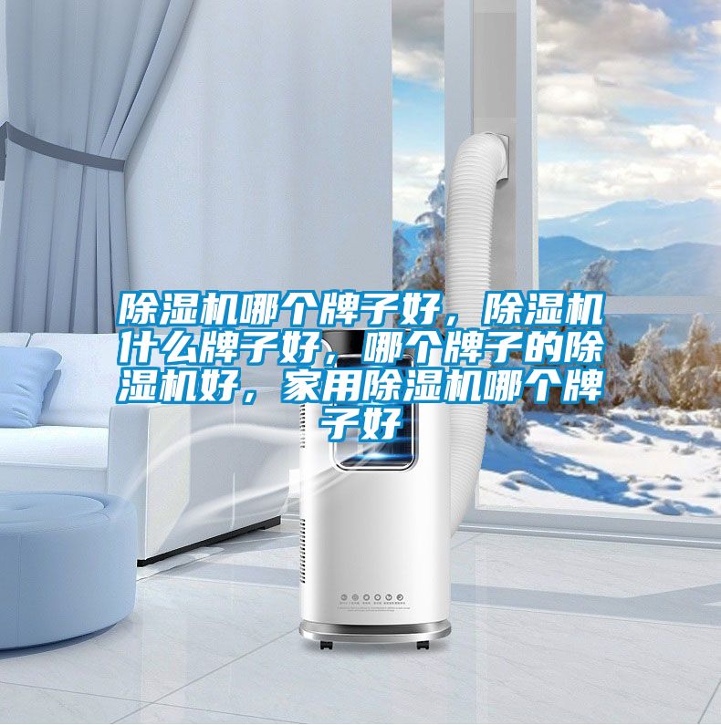 除濕機(jī)哪個(gè)牌子好，除濕機(jī)什么牌子好，哪個(gè)牌子的除濕機(jī)好，家用除濕機(jī)哪個(gè)牌子好