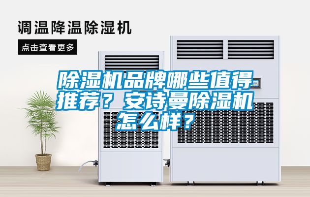 除濕機(jī)品牌哪些值得推薦？安詩(shī)曼除濕機(jī)怎么樣？
