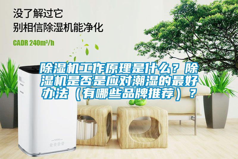 除濕機工作原理是什么？除濕機是否是應對潮濕的最好辦法（有哪些品牌推薦）？