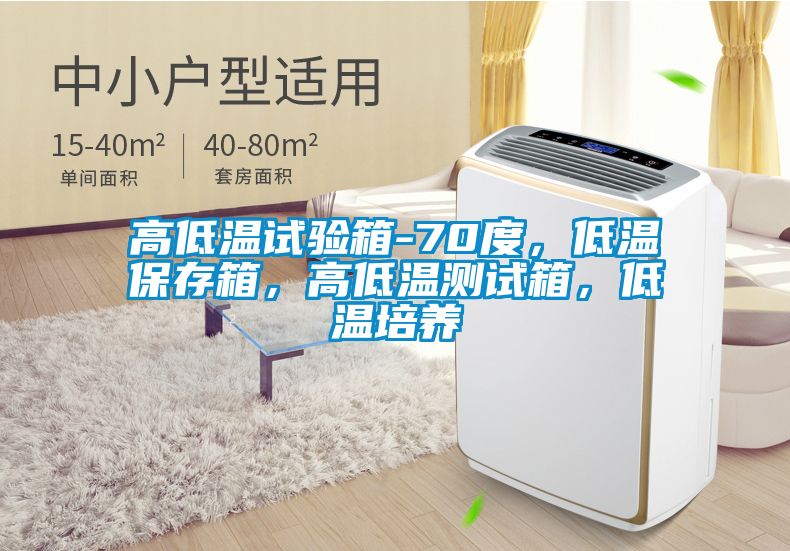 高低溫試驗(yàn)箱-70度，低溫保存箱，高低溫測試箱，低溫培養(yǎng)