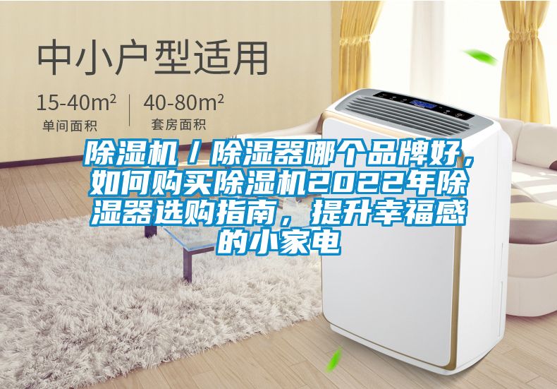 除濕機(jī)／除濕器哪個品牌好，如何購買除濕機(jī)2022年除濕器選購指南，提升幸福感的小家電