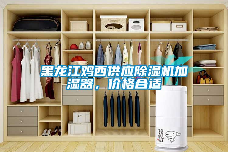 黑龍江雞西供應(yīng)除濕機加濕器，價格合適