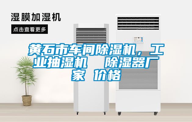 黃石市車間除濕機，工業(yè)抽濕機  除濕器廠家 價格