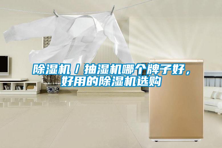 除濕機(jī)／抽濕機(jī)哪個牌子好，好用的除濕機(jī)選購