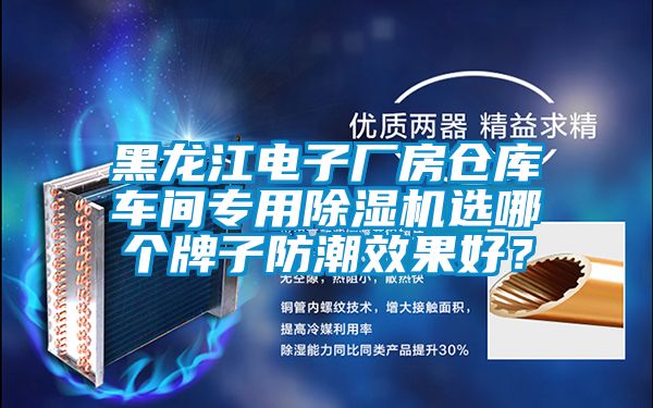 黑龍江電子廠房倉庫車間專用除濕機選哪個牌子防潮效果好？