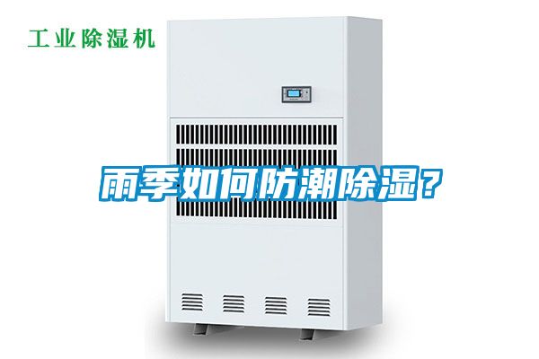 雨季如何防潮除濕？