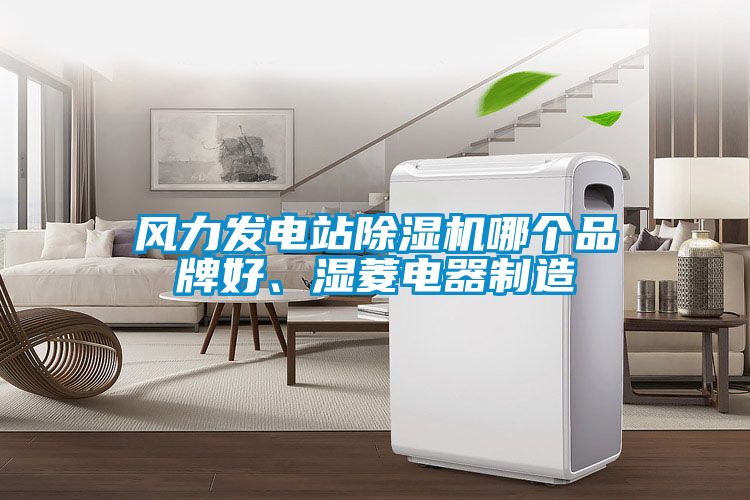 風(fēng)力發(fā)電站除濕機(jī)哪個(gè)品牌好、濕菱電器制造
