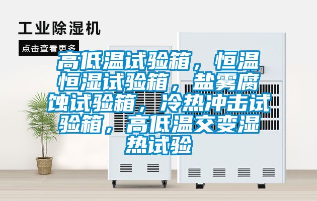 高低溫試驗箱，恒溫恒濕試驗箱，鹽霧腐蝕試驗箱，冷熱沖擊試驗箱，高低溫交變濕熱試驗