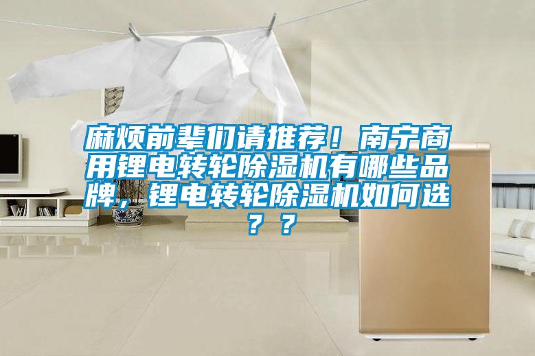 麻煩前輩們請(qǐng)推薦！南寧商用鋰電轉(zhuǎn)輪除濕機(jī)有哪些品牌，鋰電轉(zhuǎn)輪除濕機(jī)如何選？？