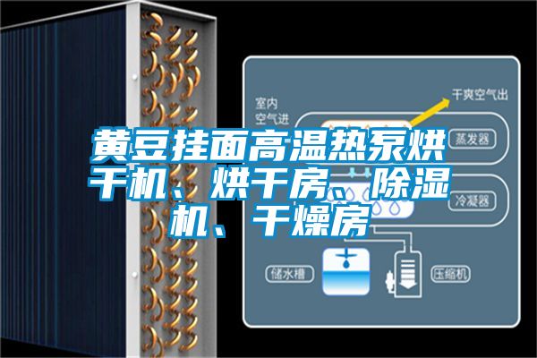 黃豆掛面高溫熱泵烘干機、烘干房、除濕機、干燥房