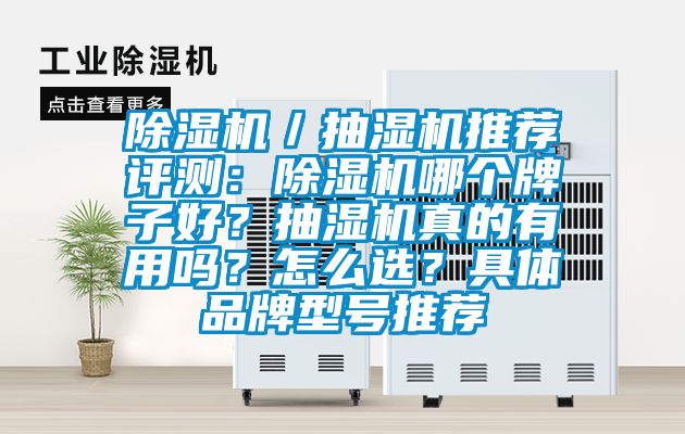 除濕機(jī)／抽濕機(jī)推薦評測：除濕機(jī)哪個牌子好？抽濕機(jī)真的有用嗎？怎么選？具體品牌型號推薦