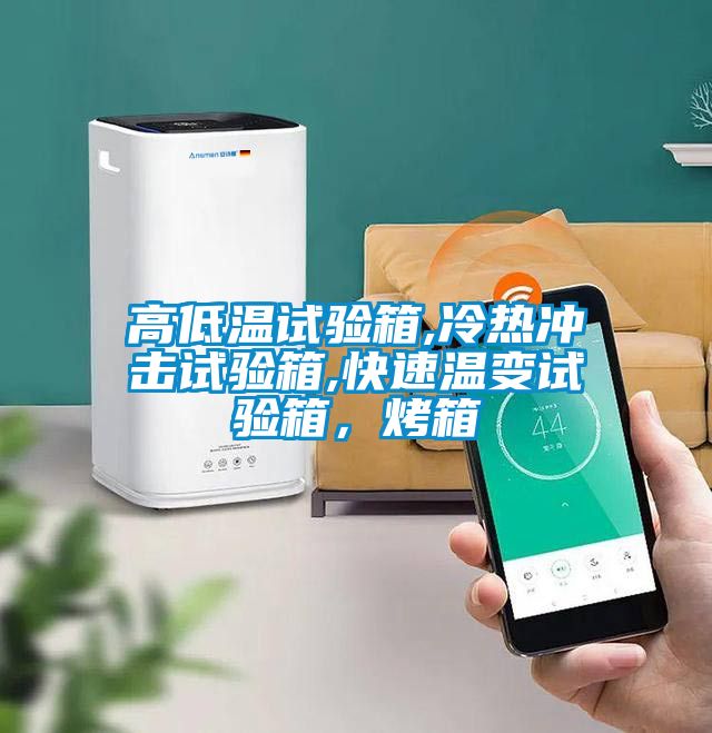 高低溫試驗(yàn)箱,冷熱沖擊試驗(yàn)箱,快速溫變試驗(yàn)箱，烤箱