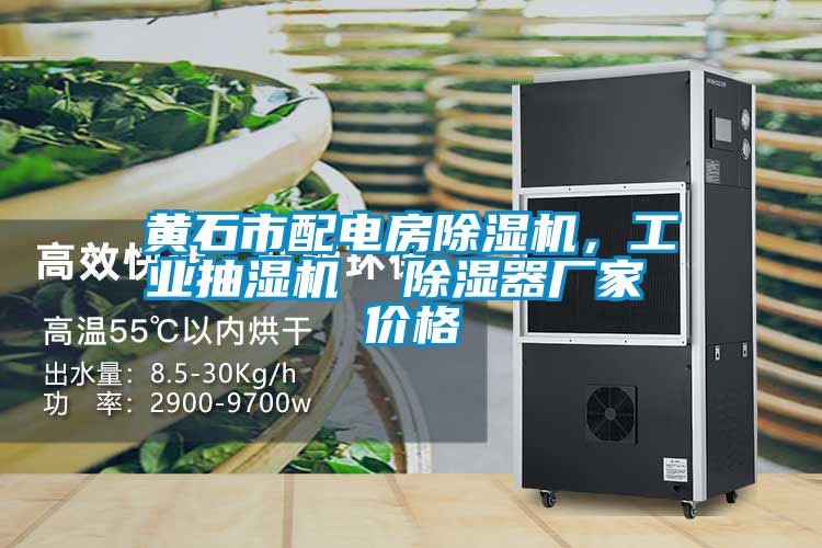 黃石市配電房除濕機，工業(yè)抽濕機  除濕器廠家 價格