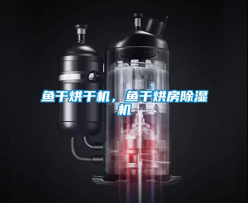 魚(yú)干烘干機(jī)，魚(yú)干烘房除濕機(jī)