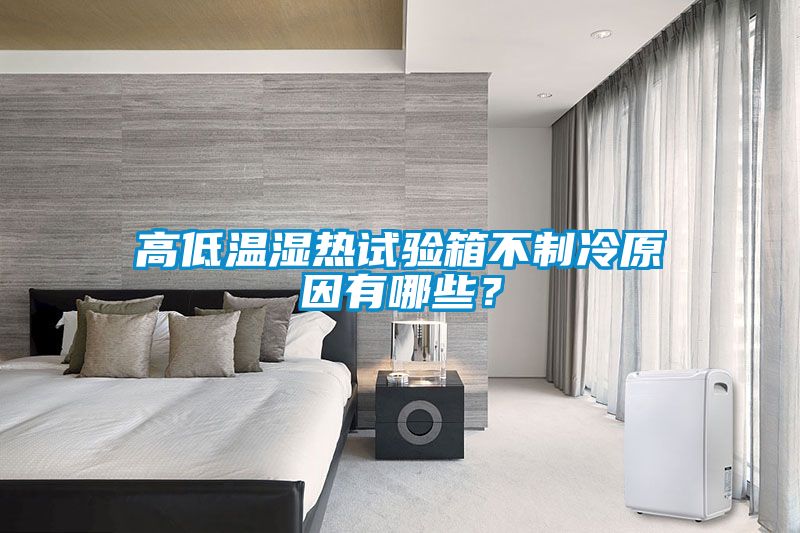 高低溫濕熱試驗(yàn)箱不制冷原因有哪些？