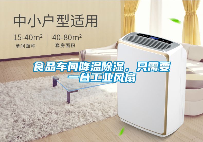 食品車間降溫除濕，只需要一臺工業(yè)風(fēng)扇